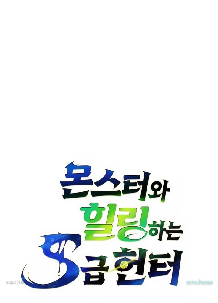 Healer Cấp S Chữa Trị Cho Quái Vật Chapter 10 - Trang 2