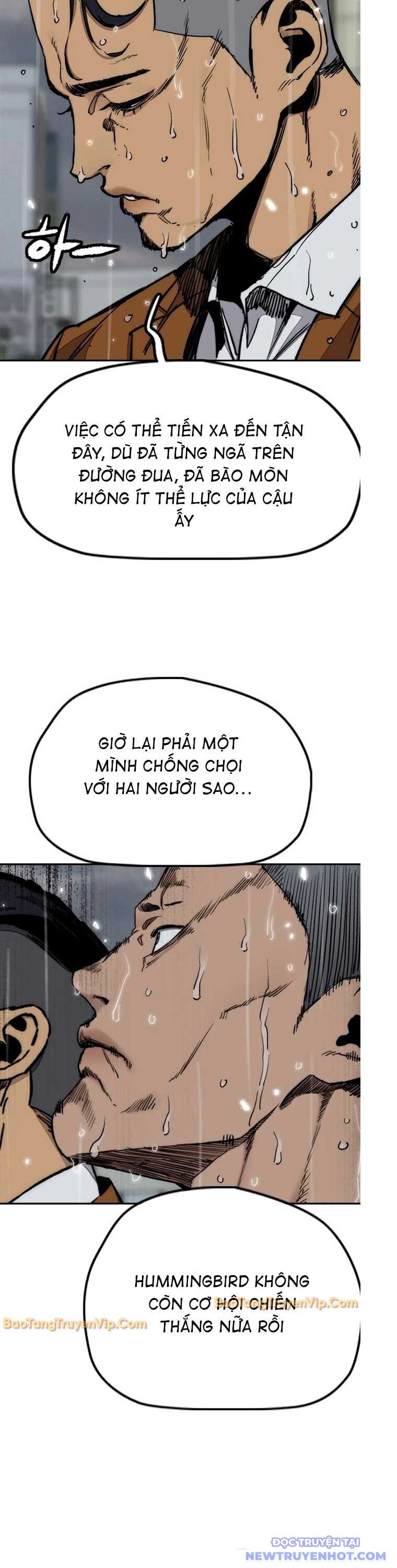 Thể Thao Cực Hạn Chapter 542 - Trang 2