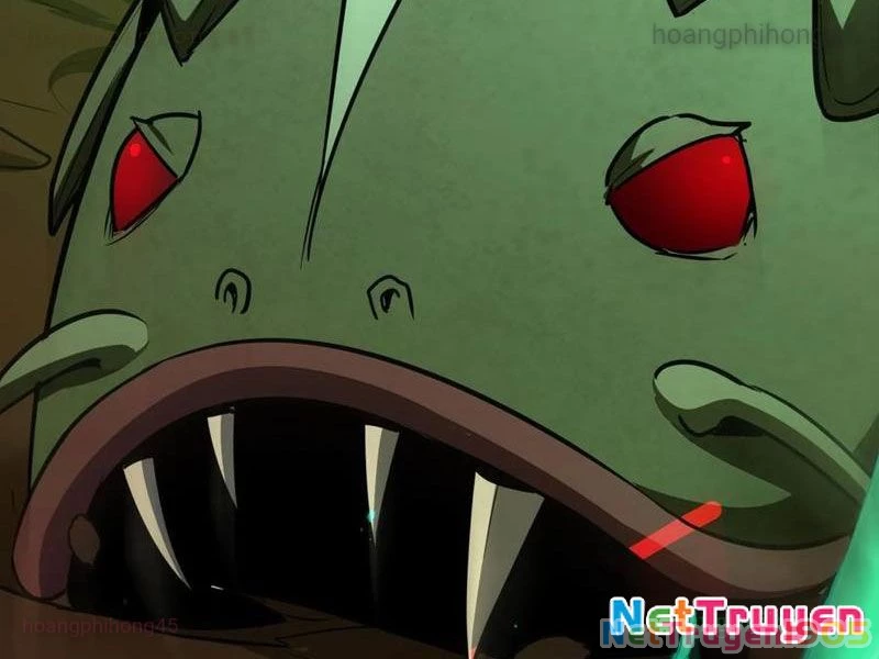 Dị Biến Giáng Lâm Nhân Gian: Triệu Hoán Chi Chủ! Chapter 21 - Trang 2