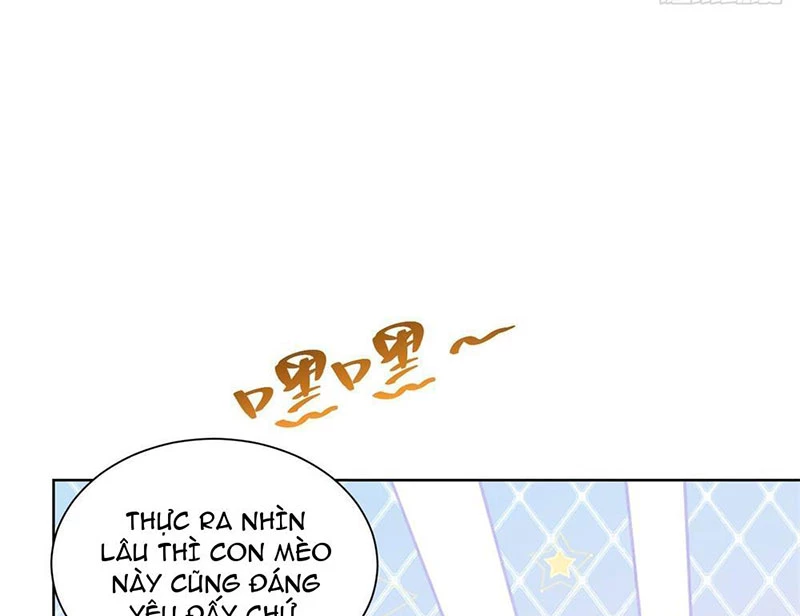 Ta Là Tiên Tôn Thiên Giới Bị Mất Trí Nhớ Chapter 2 - Trang 2