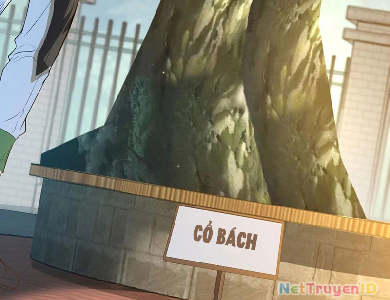 Ta Là Tiên Tôn Thiên Giới Bị Mất Trí Nhớ Chapter 2 - Trang 2