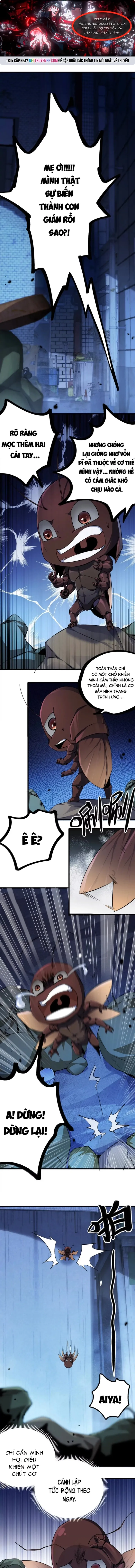 Mạt Thế Cẩu Sinh: Gián Giúp Ta Chồng Buff Chapter 2 - Trang 2
