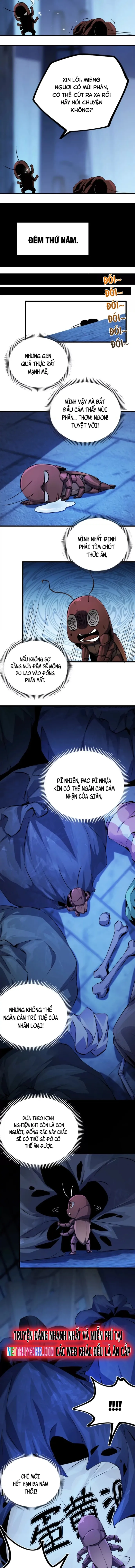 Mạt Thế Cẩu Sinh: Gián Giúp Ta Chồng Buff Chapter 2 - Trang 2