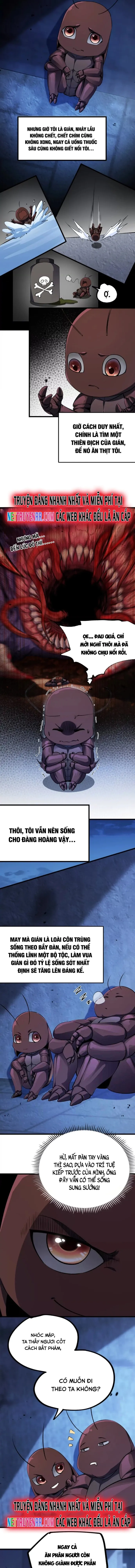 Mạt Thế Cẩu Sinh: Gián Giúp Ta Chồng Buff Chapter 2 - Trang 2
