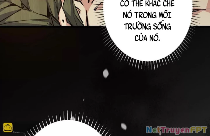 Mạt Thế Cẩu Sinh: Gián Giúp Ta Chồng Buff Chapter 17 - Trang 2