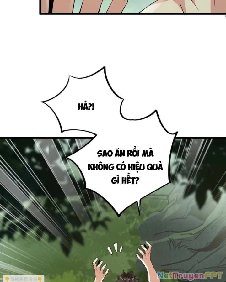 Mạt Thế Cẩu Sinh: Gián Giúp Ta Chồng Buff Chapter 21 - Trang 2