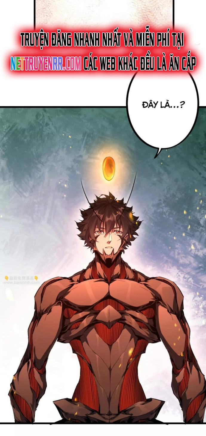 Mạt Thế Cẩu Sinh: Gián Giúp Ta Chồng Buff Chapter 25 - Trang 2