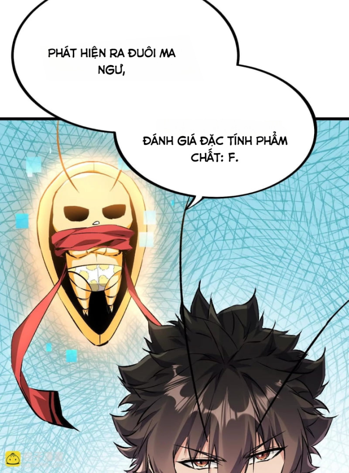 Mạt Thế Cẩu Sinh: Gián Giúp Ta Chồng Buff Chapter 34 - Trang 2