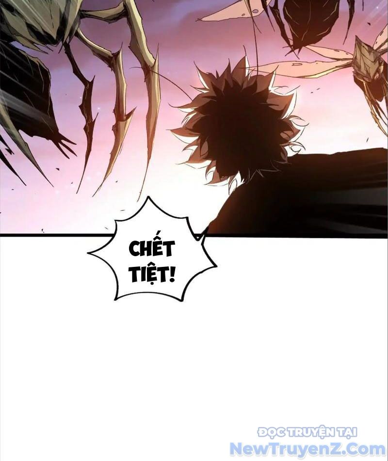 Mạt Thế Cẩu Sinh: Gián Giúp Ta Chồng Buff Chapter 42 - Trang 2