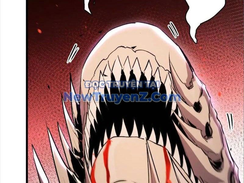 Mạt Thế Cẩu Sinh: Gián Giúp Ta Chồng Buff Chapter 44 - Trang 2