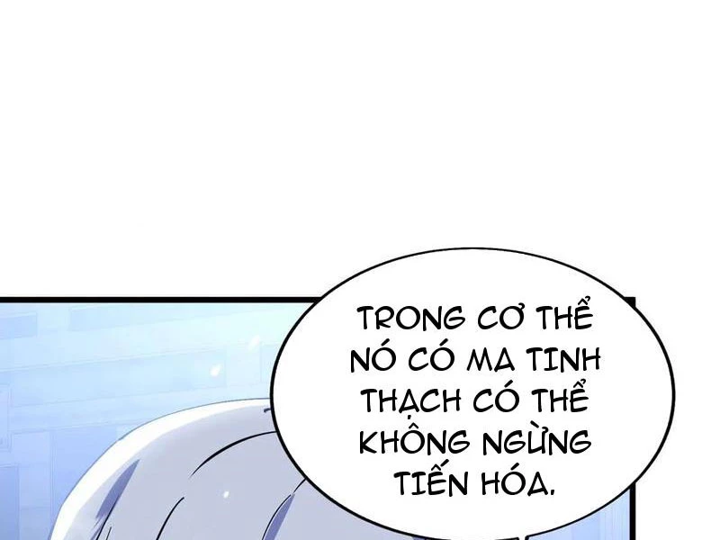 Mạt Thế Cẩu Sinh: Gián Giúp Ta Chồng Buff Chapter 54 - Trang 2