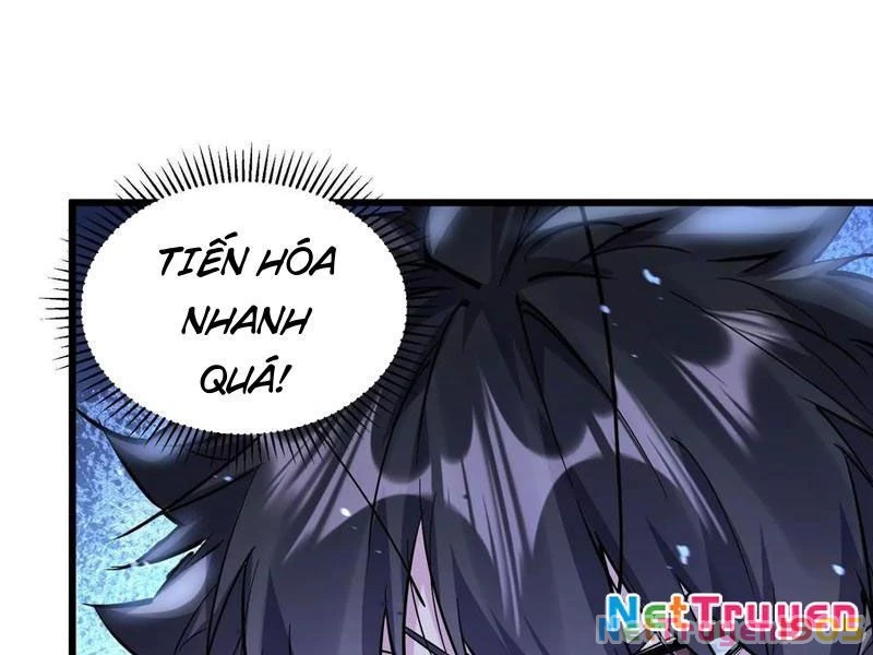 Mạt Thế Cẩu Sinh: Gián Giúp Ta Chồng Buff Chapter 55 - Trang 2