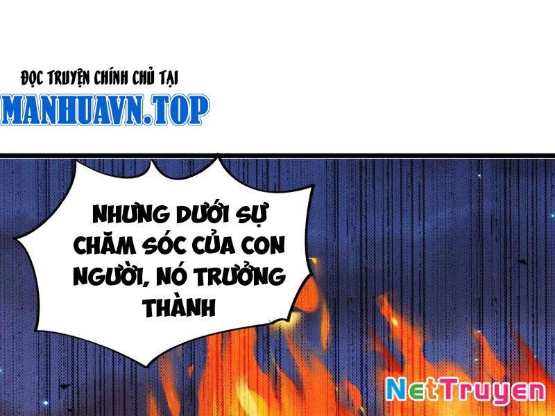Mạt Thế Cẩu Sinh: Gián Giúp Ta Chồng Buff Chapter 60 - Trang 2