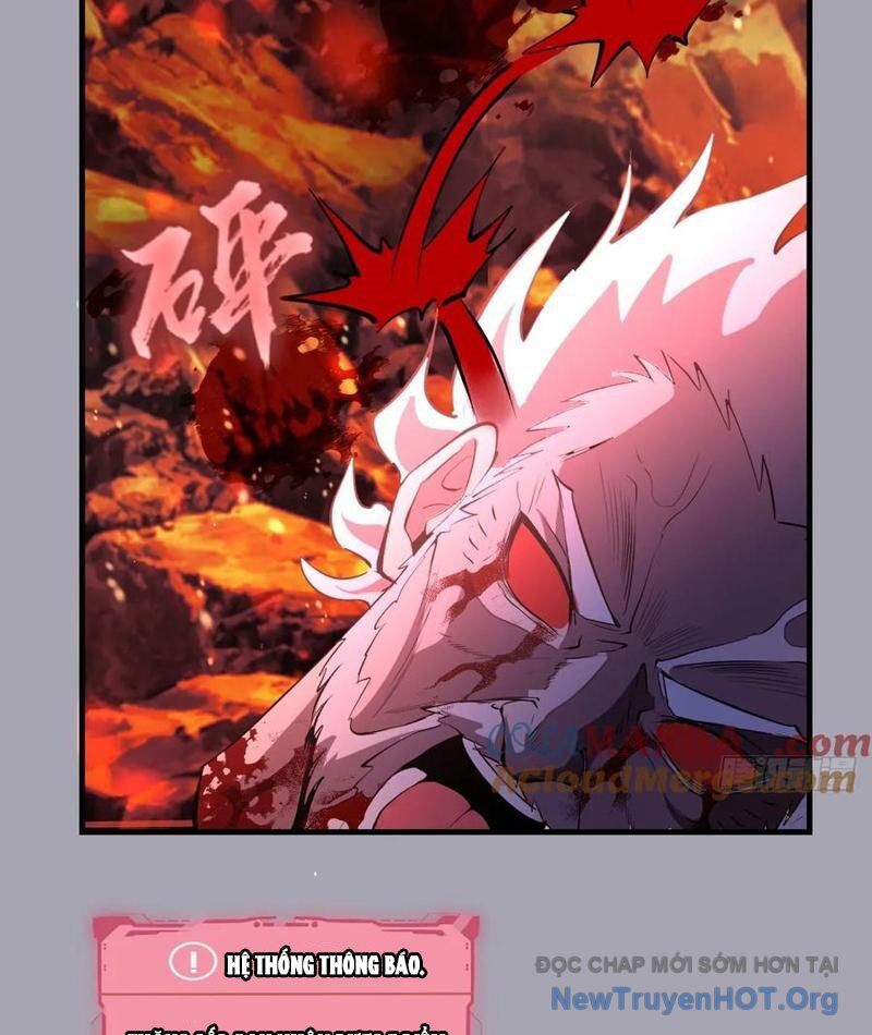 Ta Dựa Vào Hậu Cung Chinh Phục Thế Giới Chapter 45 - Trang 2