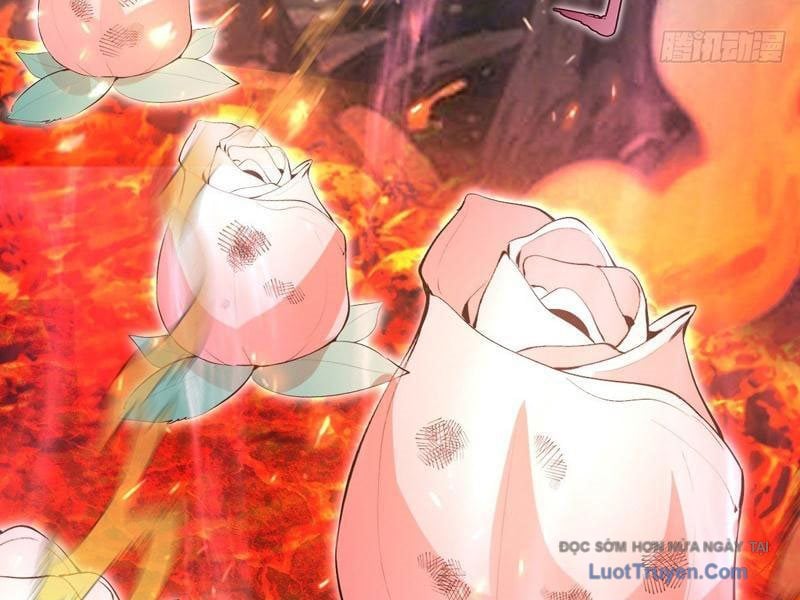 Ta Dựa Vào Hậu Cung Chinh Phục Thế Giới Chapter 78 - Trang 2