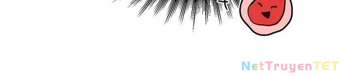 Thần Khí Huyền Thoại Của Người Chơi Thiên Tài Chapter 18 - Trang 2