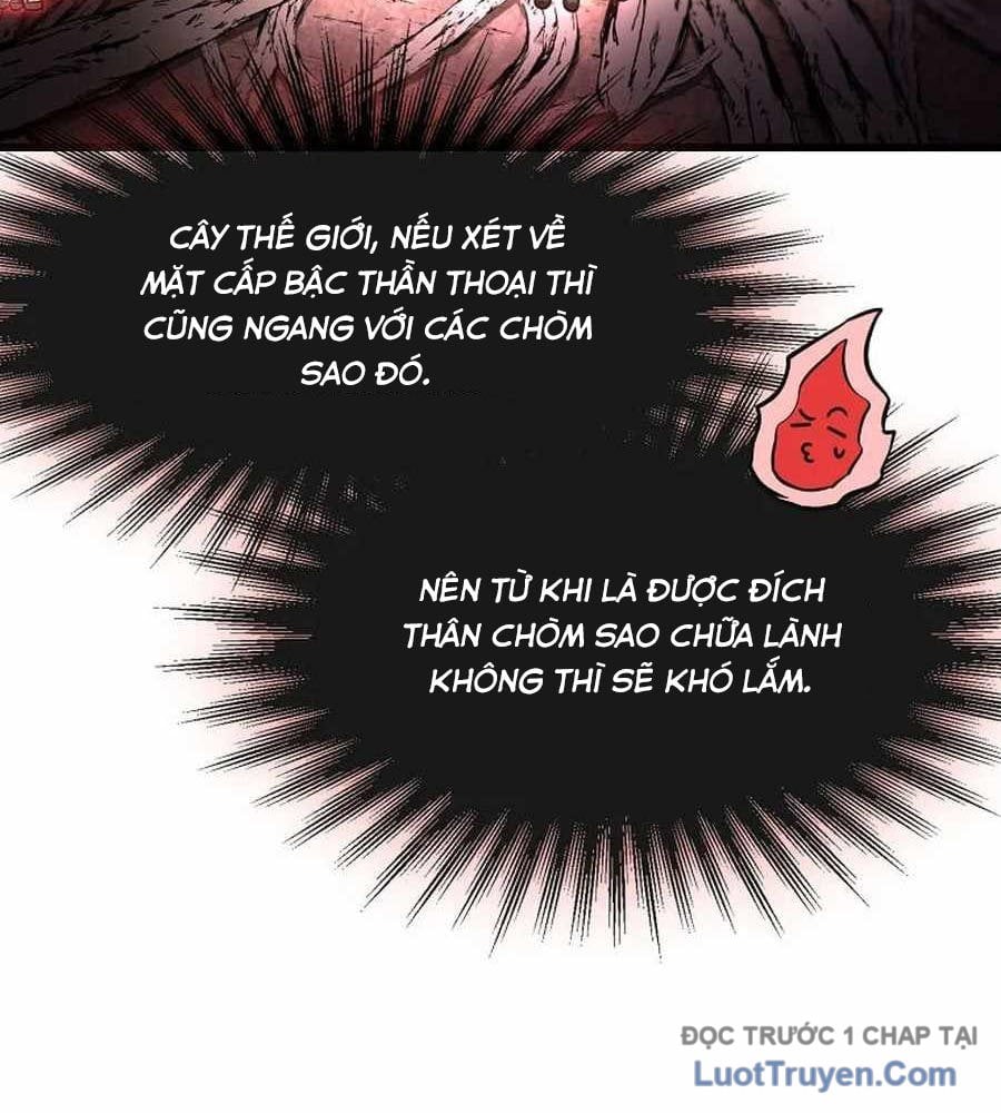 Thần Khí Huyền Thoại Của Người Chơi Thiên Tài Chapter 57 - Trang 2