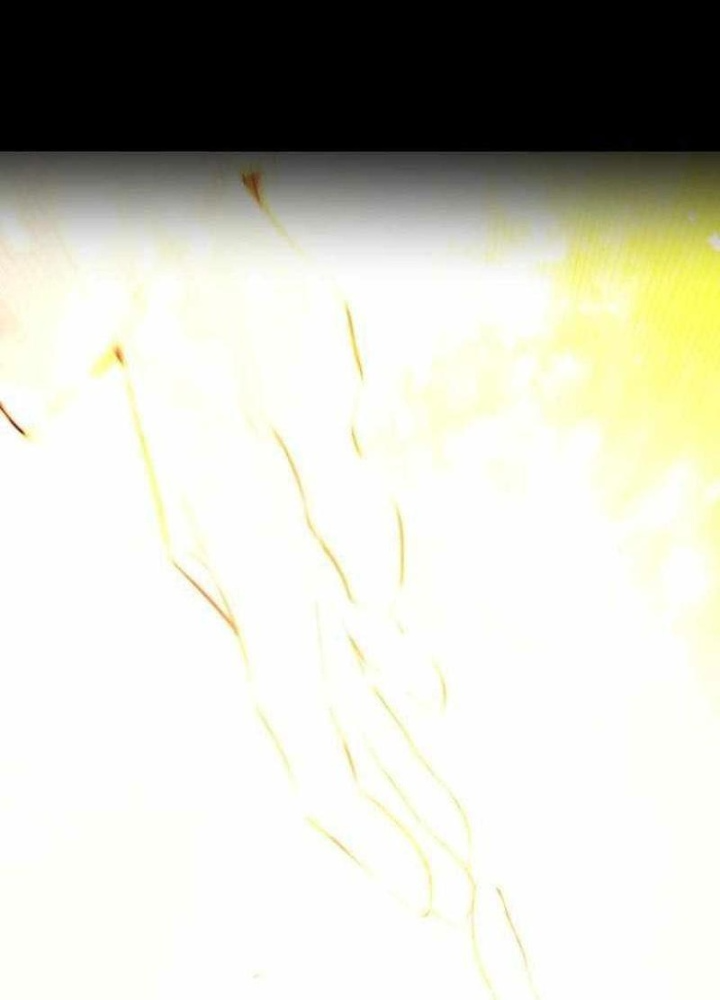 Mỗi Lính Đánh Thuê Trở Về Đều Có Một Kế Hoạch Chapter 34 - Trang 2