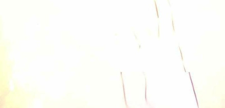 Mỗi Lính Đánh Thuê Trở Về Đều Có Một Kế Hoạch Chapter 34 - Trang 2