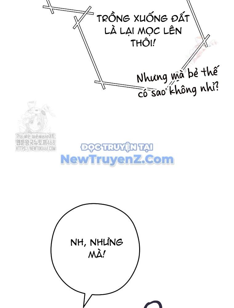 Tái Thiết Hầm Ngục Chapter 248 - Trang 2
