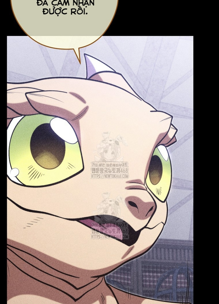 Tái Thiết Hầm Ngục Chapter 256 - Trang 2