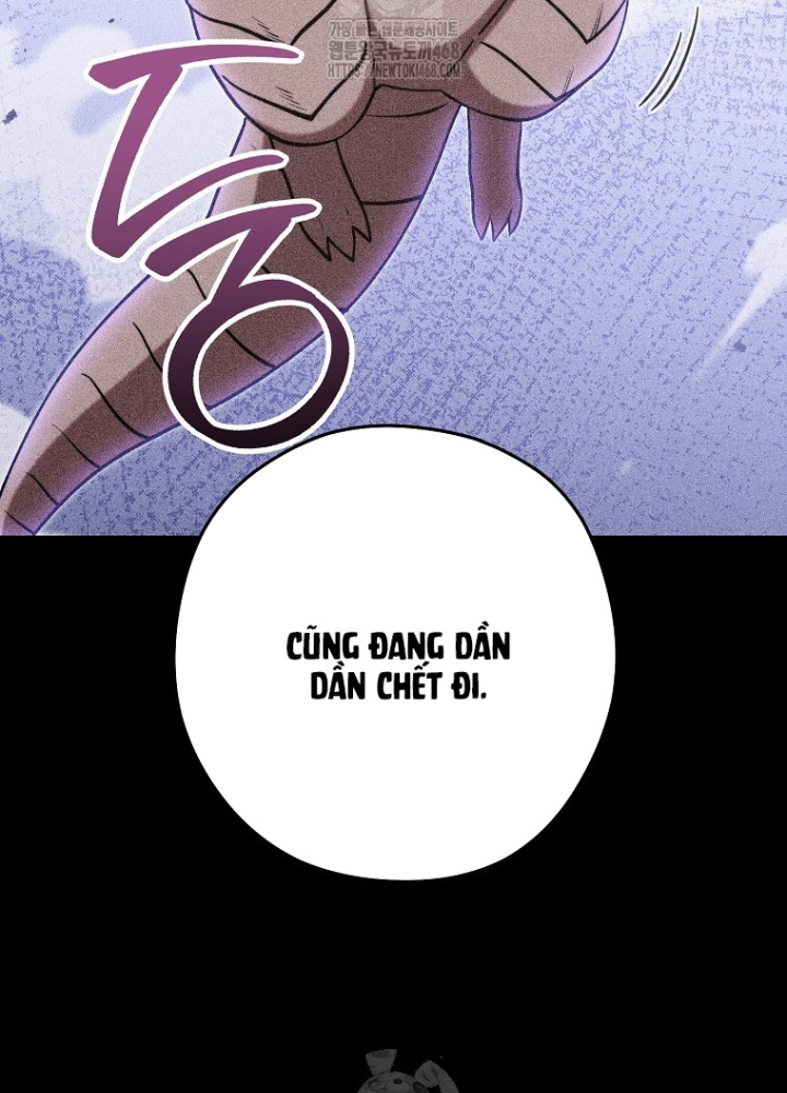 Tái Thiết Hầm Ngục Chapter 256 - Trang 2