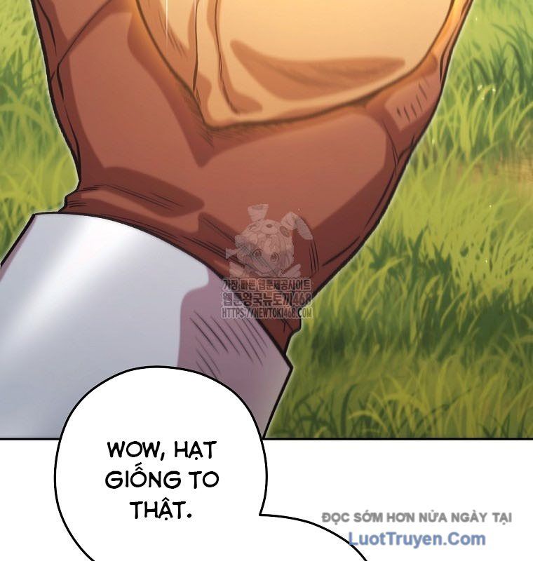 Tái Thiết Hầm Ngục Chapter 262 - Trang 2