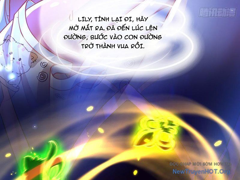 Tối Cường Tinh Thú Sư Chapter 4 - Trang 2