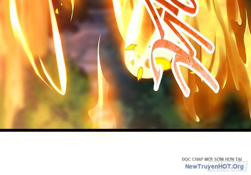 Tối Cường Tinh Thú Sư Chapter 5 - Trang 2