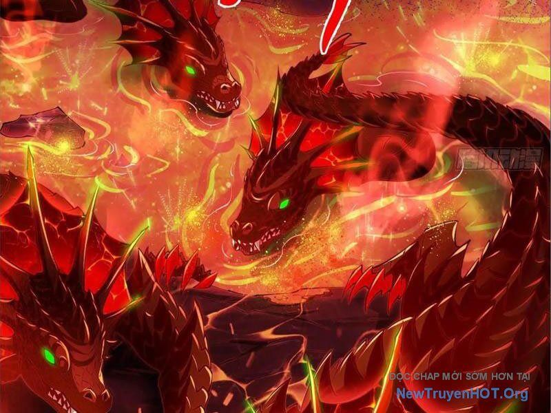 Tối Cường Tinh Thú Sư Chapter 8 - Trang 2