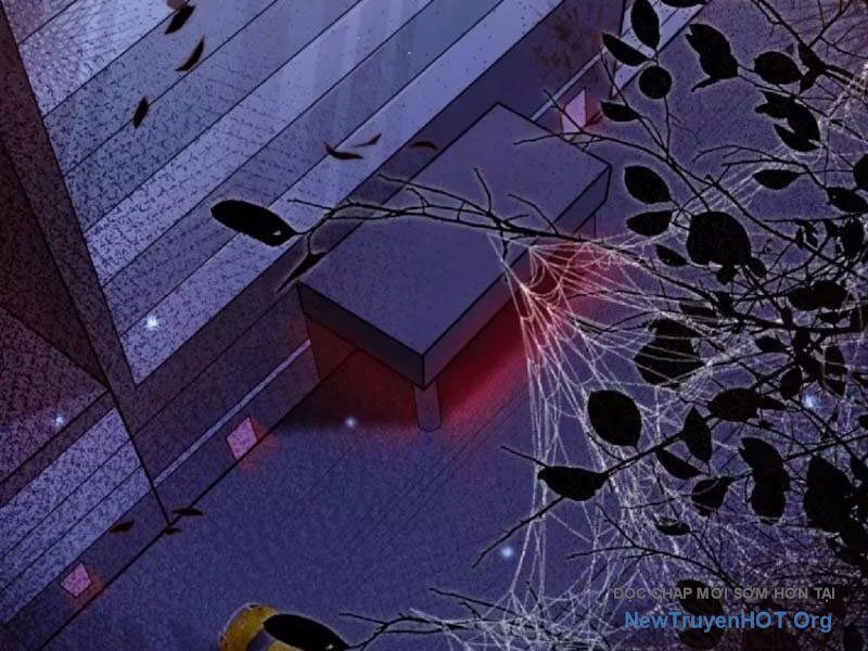 Tối Cường Tinh Thú Sư Chapter 13 - Trang 2