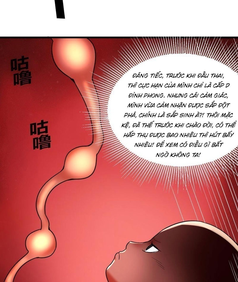 Sau Khi Đầu Thai, Ta Được Kẻ Thù Khắc Thành Vô Địch Chapter 1 - Trang 2