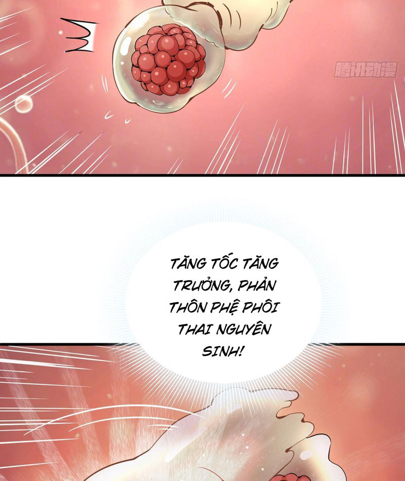 Sau Khi Đầu Thai, Ta Được Kẻ Thù Khắc Thành Vô Địch Chapter 1 - Trang 2