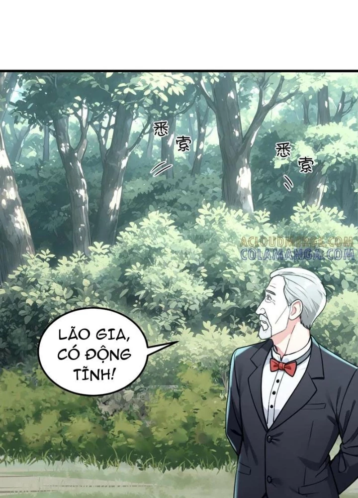 Sau Khi Đầu Thai, Ta Được Kẻ Thù Khắc Thành Vô Địch Chapter 12 - Trang 2