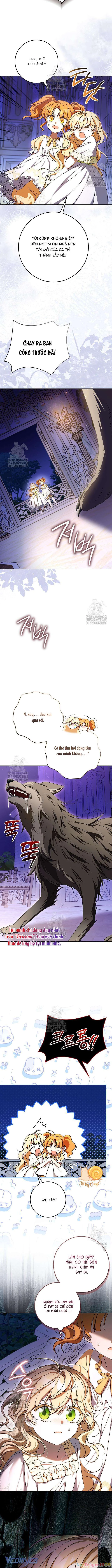 Nàng Chim Được Dinh Thự Sói Yêu Thương Chapter 51 - Trang 2