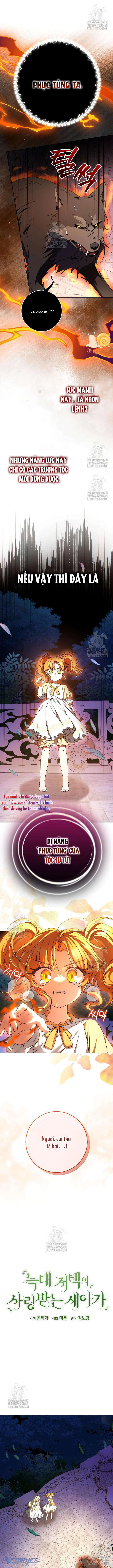 Nàng Chim Được Dinh Thự Sói Yêu Thương Chapter 52 - Trang 2