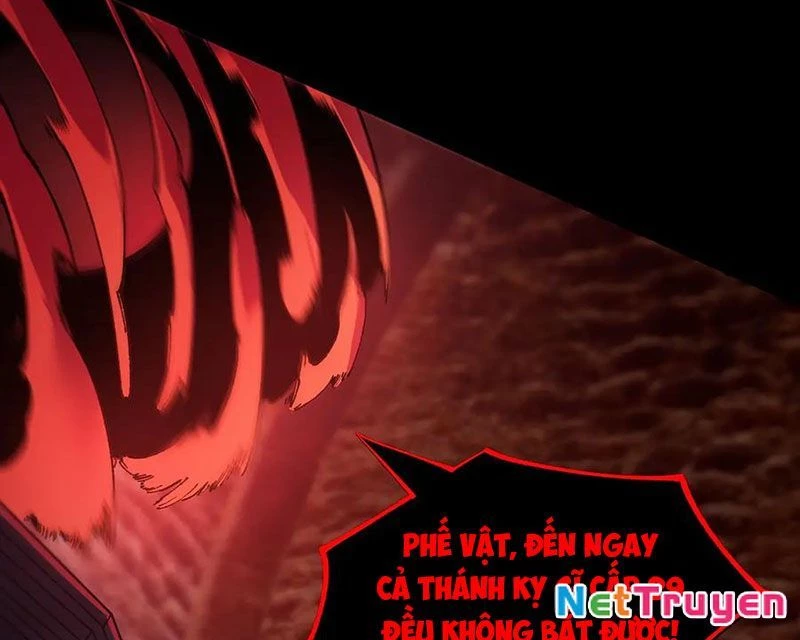 Thánh Hiệp Sĩ Cấp Sss Chapter 75 - Trang 2