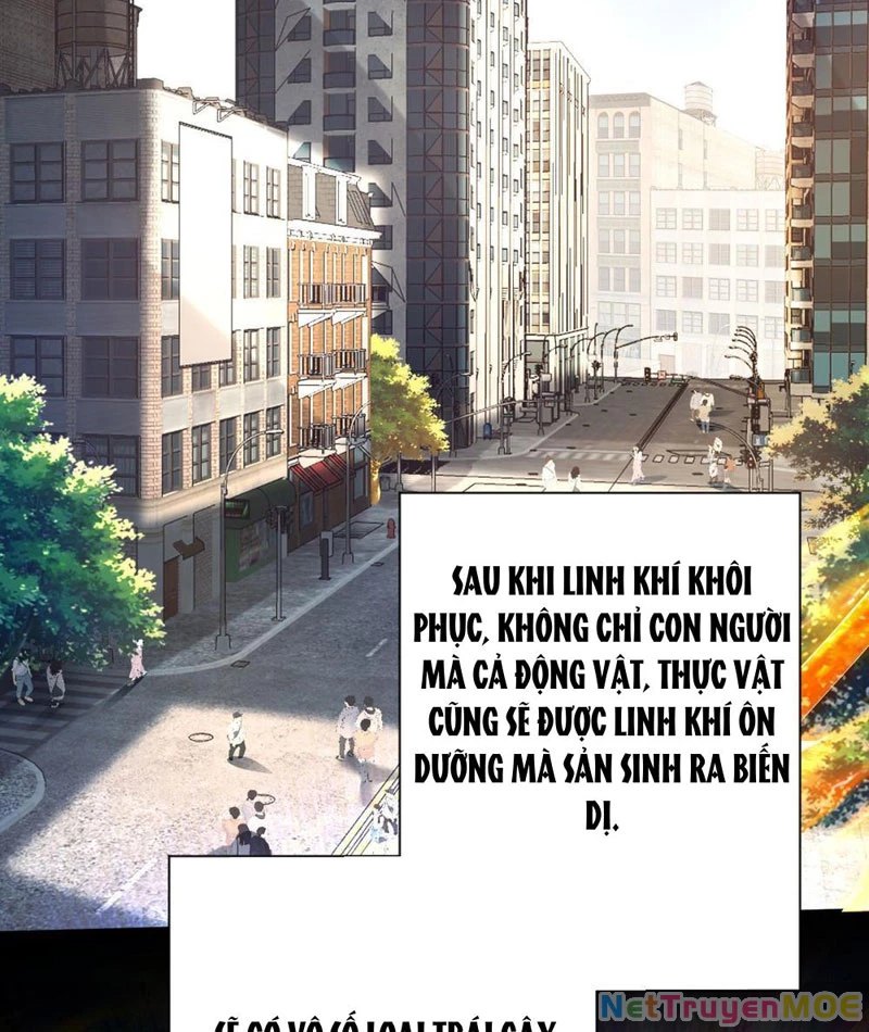 Dị Năng Trùng Sinh Ta Sớm Ở Đỉnh Cao Chapter 1 - Trang 2