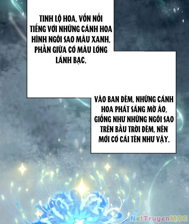 Dị Năng Trùng Sinh Ta Sớm Ở Đỉnh Cao Chapter 2 - Trang 2