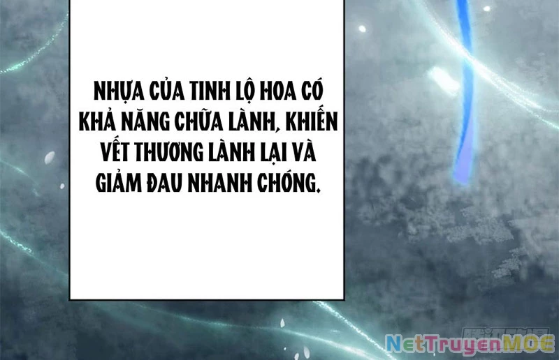 Dị Năng Trùng Sinh Ta Sớm Ở Đỉnh Cao Chapter 2 - Trang 2