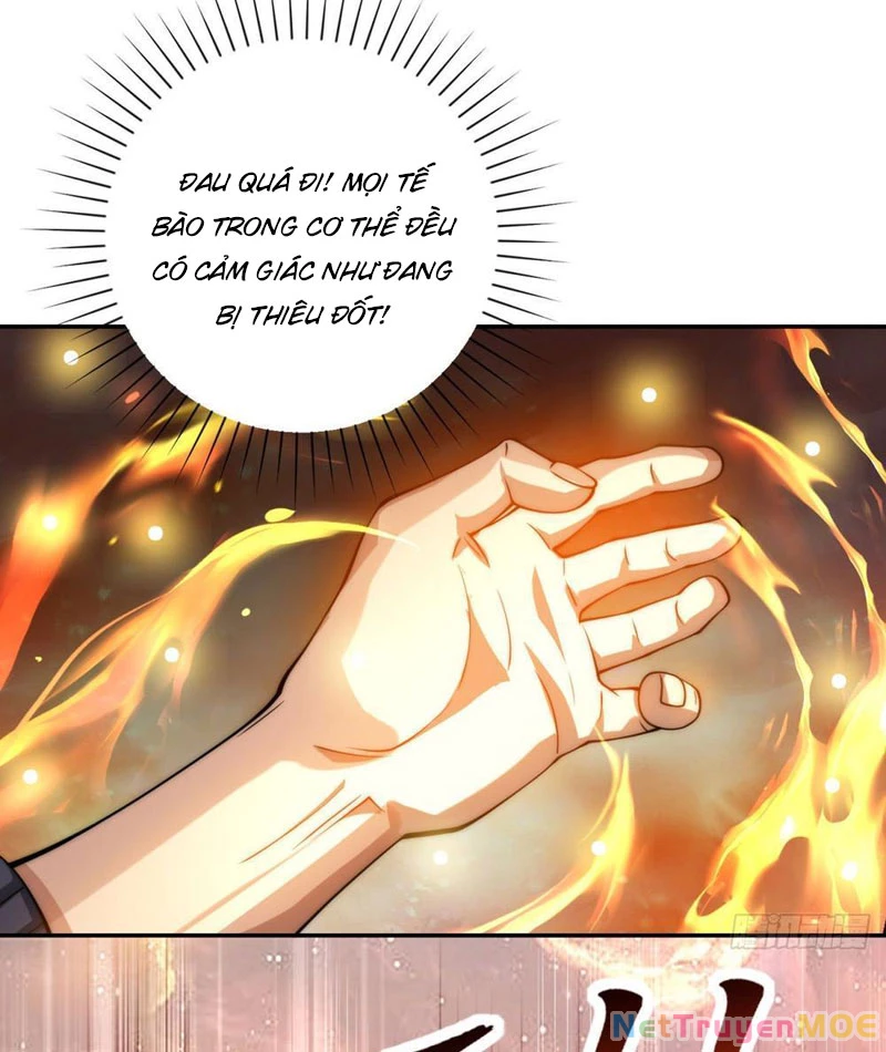 Dị Năng Trùng Sinh Ta Sớm Ở Đỉnh Cao Chapter 3 - Trang 2