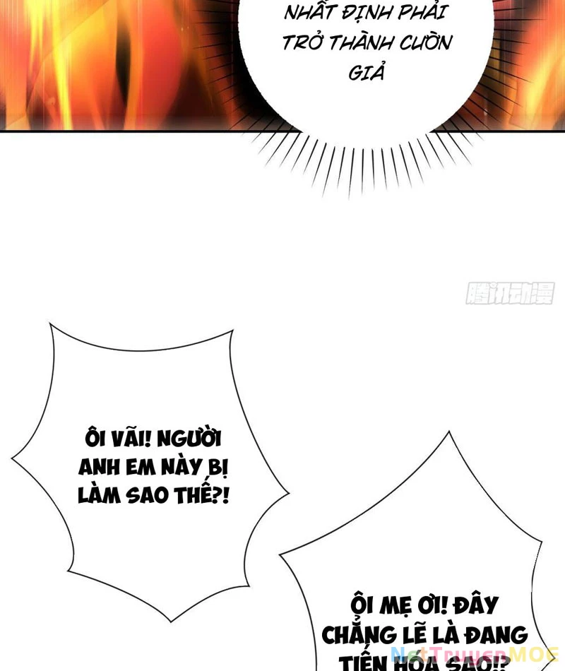 Dị Năng Trùng Sinh Ta Sớm Ở Đỉnh Cao Chapter 3 - Trang 2