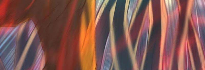 Dị Năng Trùng Sinh Ta Sớm Ở Đỉnh Cao Chapter 9 - Trang 2