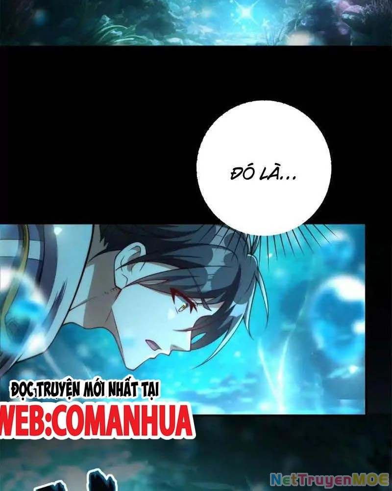 Dị Năng Trùng Sinh Ta Sớm Ở Đỉnh Cao Chapter 16 - Trang 2