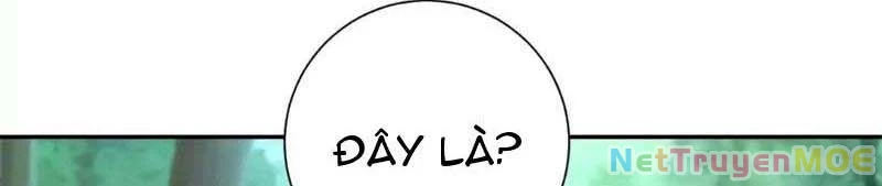 Dị Năng Trùng Sinh Ta Sớm Ở Đỉnh Cao Chapter 18 - Trang 2