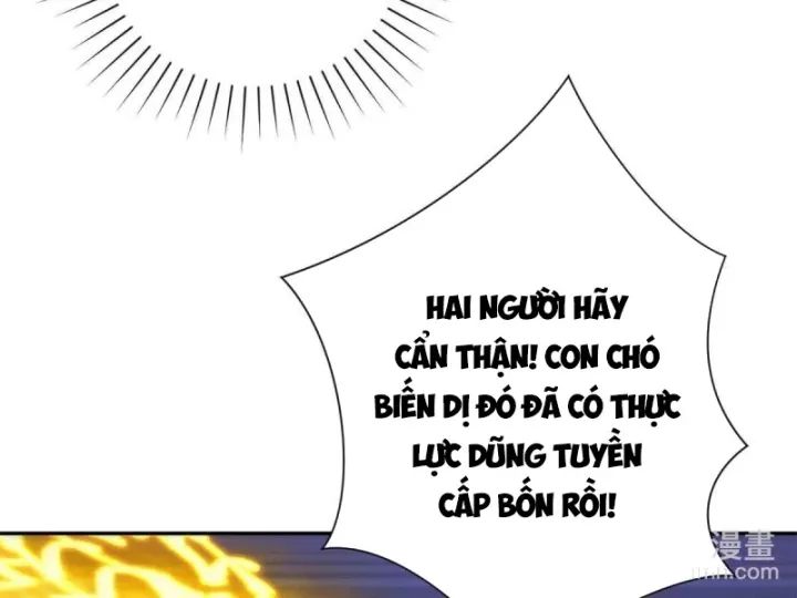 Dị Năng Trùng Sinh Ta Sớm Ở Đỉnh Cao Chapter 27 - Trang 2