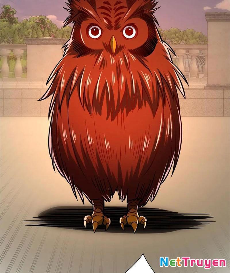 Dị Năng Trùng Sinh Ta Sớm Ở Đỉnh Cao Chapter 32 - Trang 2