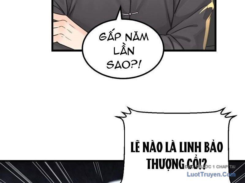 Chuyển Sinh Thành Tra Nam, Ta Giúp Thê Tử Trường Sinh Chapter 41 - Trang 2