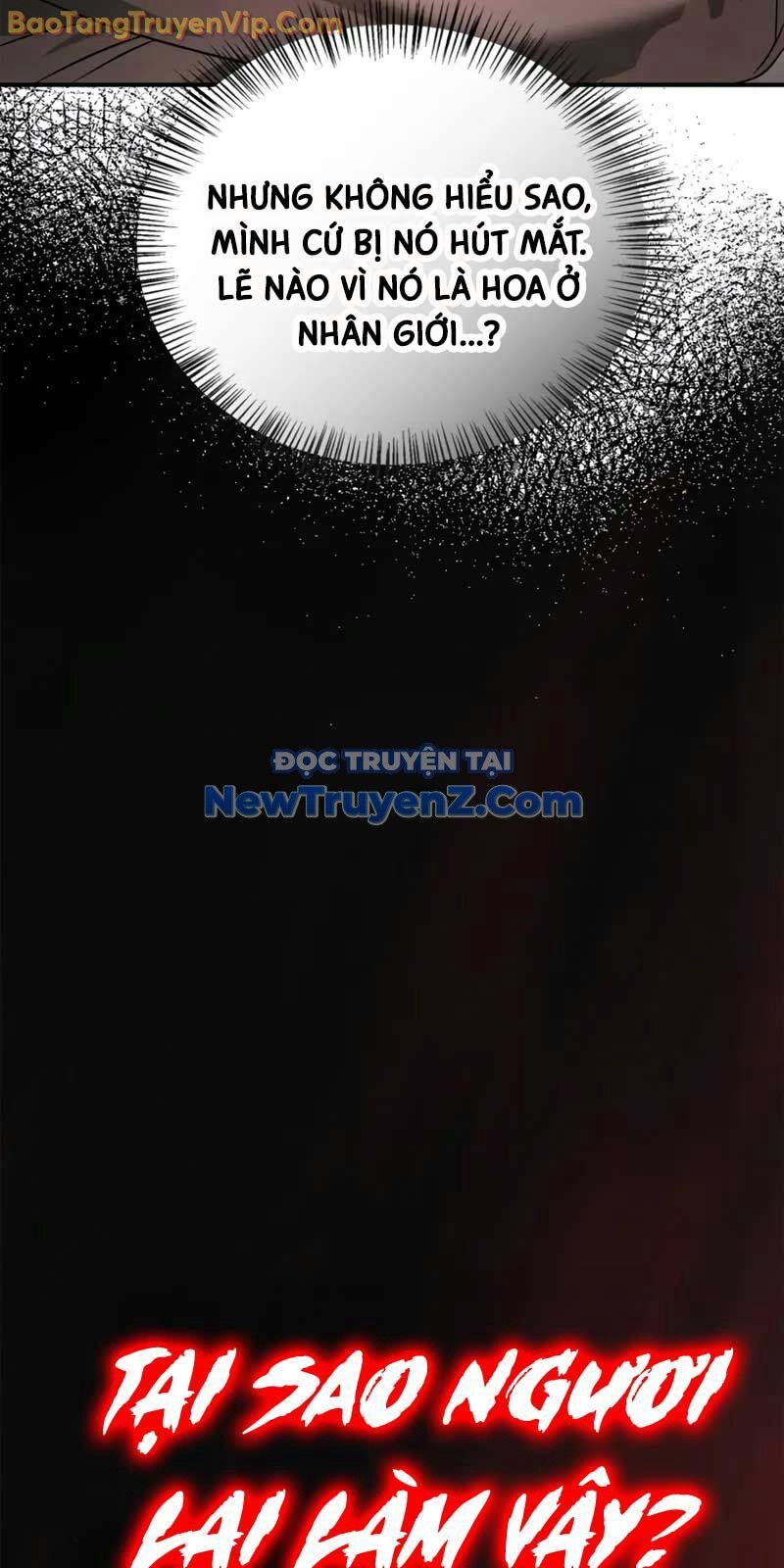Tôi Không Tài Năng Đến Thế Đâu Chapter 82 - Trang 2