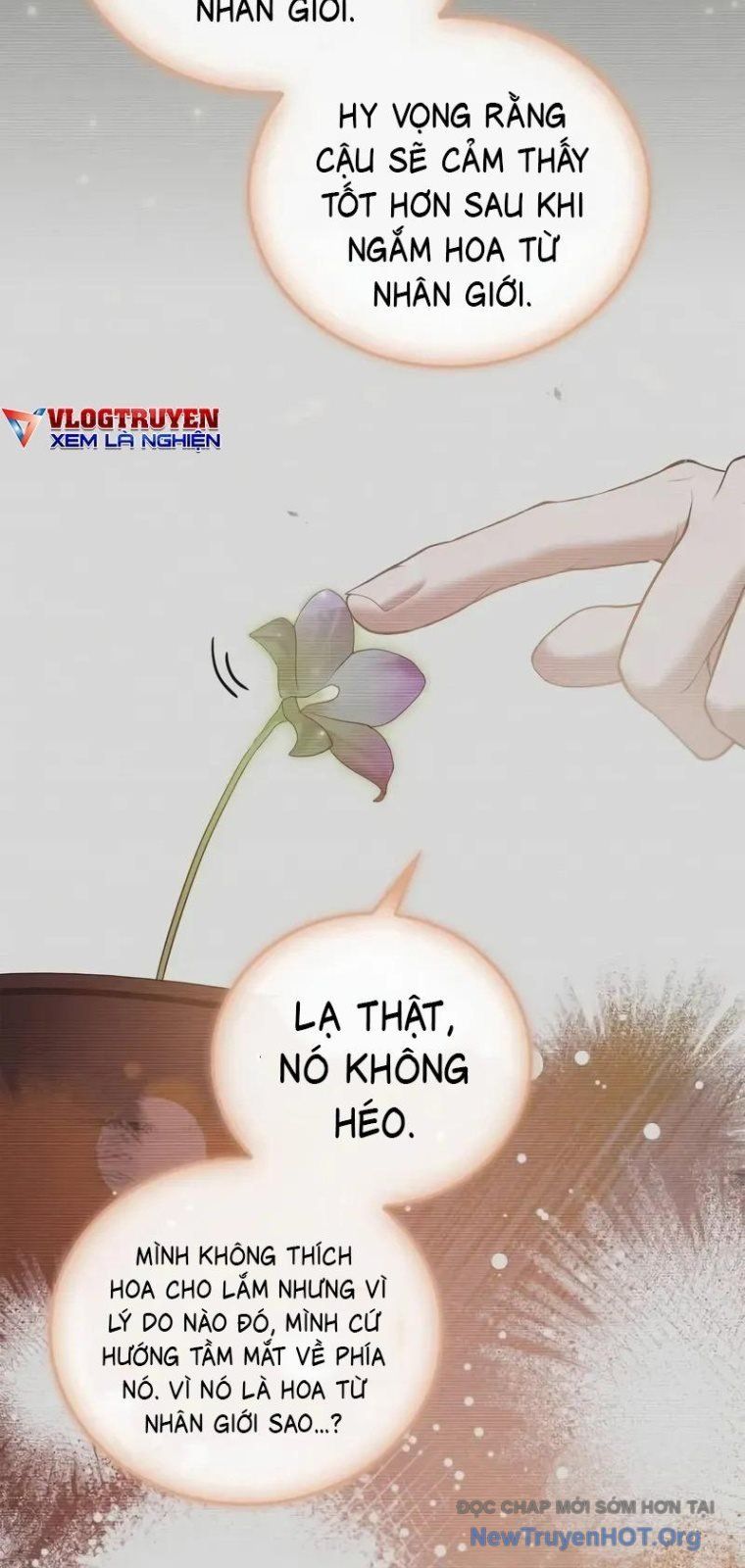 Tôi Không Tài Năng Đến Thế Đâu Chapter 93 - Trang 2